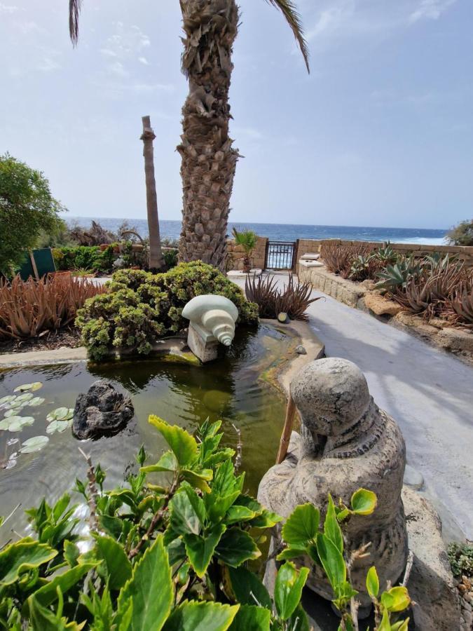 Little Paradise In El Medano Granadilla De Abona Εξωτερικό φωτογραφία