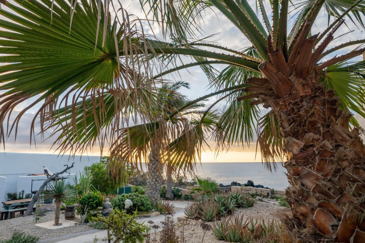 Little Paradise In El Medano Granadilla De Abona Εξωτερικό φωτογραφία