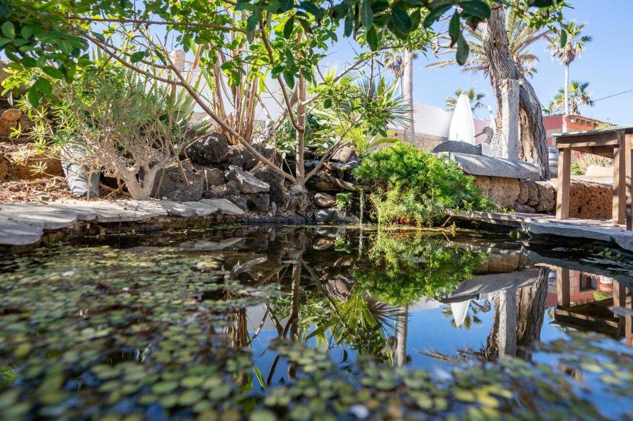 Little Paradise In El Medano Granadilla De Abona Εξωτερικό φωτογραφία
